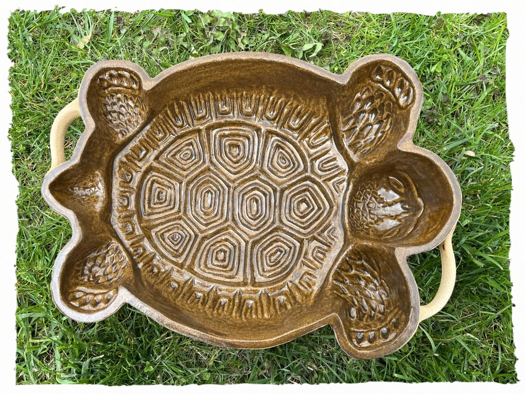 Želva